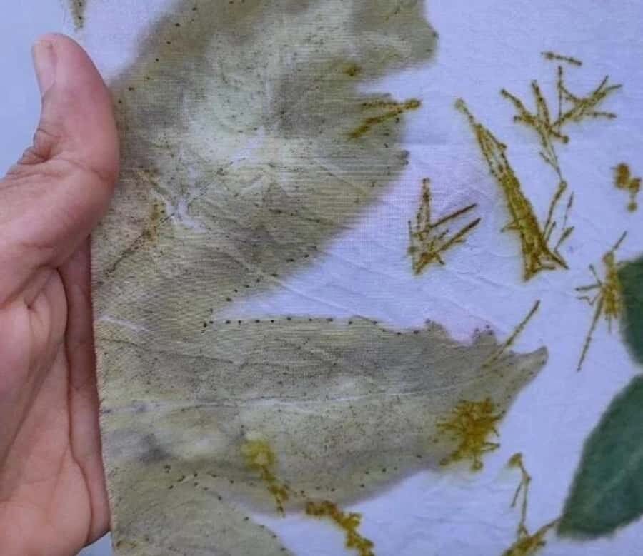 Banyuwangi: Family Eco Print Workshop with Local Artisan - Why This Workshop Offers True Value