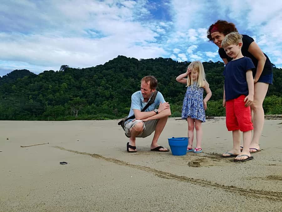 Banyuwangi hidden gem: Sukamade Beach Turtle Release Tour - Transportation and Logistics