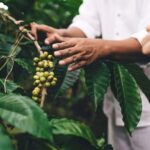 Banyuwangi: Kalibaru Train Adventure & Cultural Tour - Practical Details & What to Expect