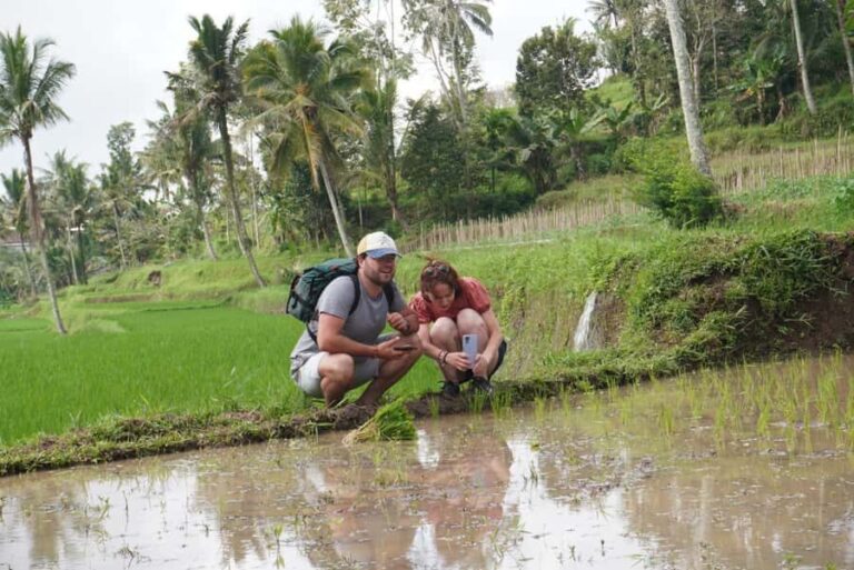 Banyuwangi: Village Walking Tour with Lunch & Coffee - Detailed Breakdown of the Itinerary