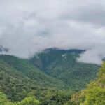 Baralikadu Eco Tourism Day Tour from Coimbatore - Why Choose This Tour?