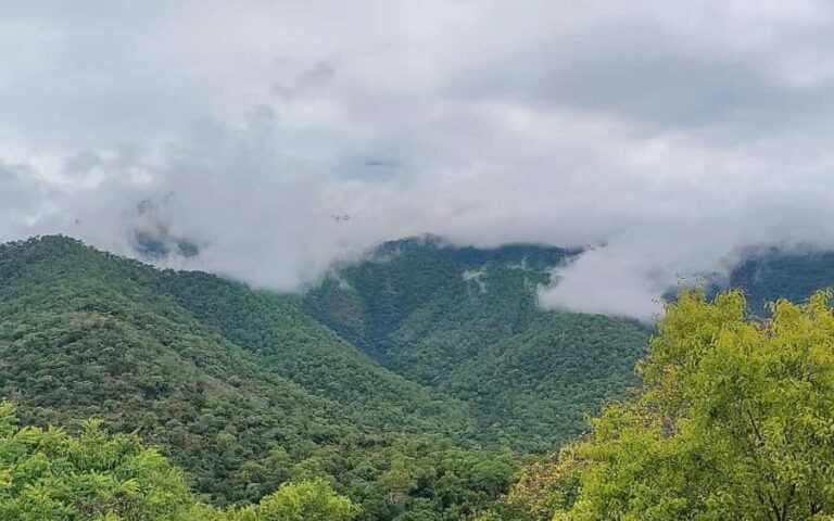 Baralikadu Eco Tourism Day Tour from Coimbatore - Why Choose This Tour?