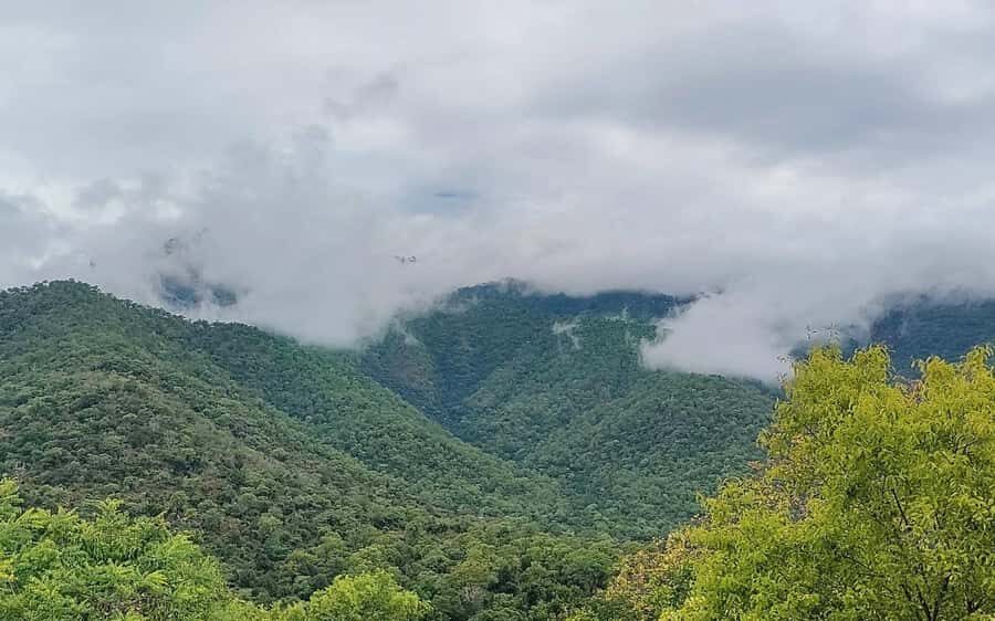 Baralikadu Eco Tourism Day Tour from Coimbatore - Why Choose This Tour?