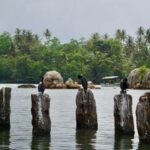 Bat Watching & Cinnamon experience -Koggala - Final Thoughts