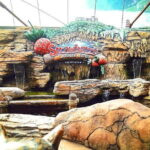 Batu Caves And Genting Highland Tour Include 2-way Cable Car Tickets & Lunch - The Sum Up — Who Should Consider This Tour?