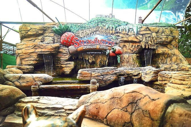 Batu Caves And Genting Highland Tour Include 2-way Cable Car Tickets & Lunch - The Sum Up — Who Should Consider This Tour?