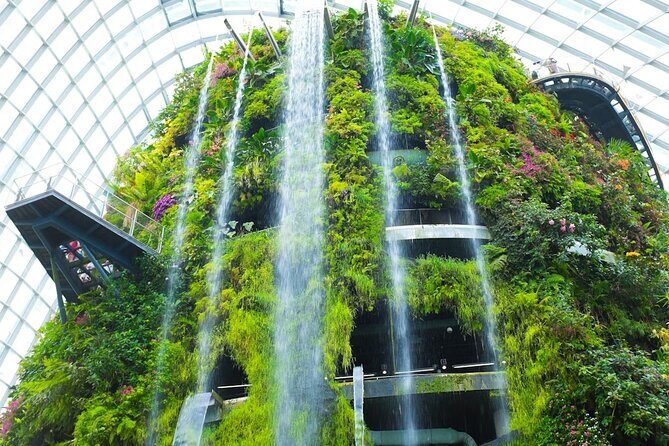 Bay Cloud Forest Gardens, Flower Dome, Jurassic World Experience - The Sum Up