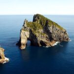 Bay of Islands Cruise & Island Tour - Snorkel, Hike,Swim,Wildlife - Who Is This Tour Best Suited For?