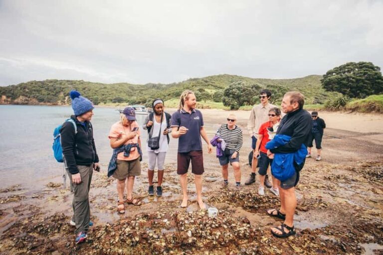 Bay of Islands Journey: Sail, Snorkel & Explore in 5 Days - Transportation, Group Size, and Value