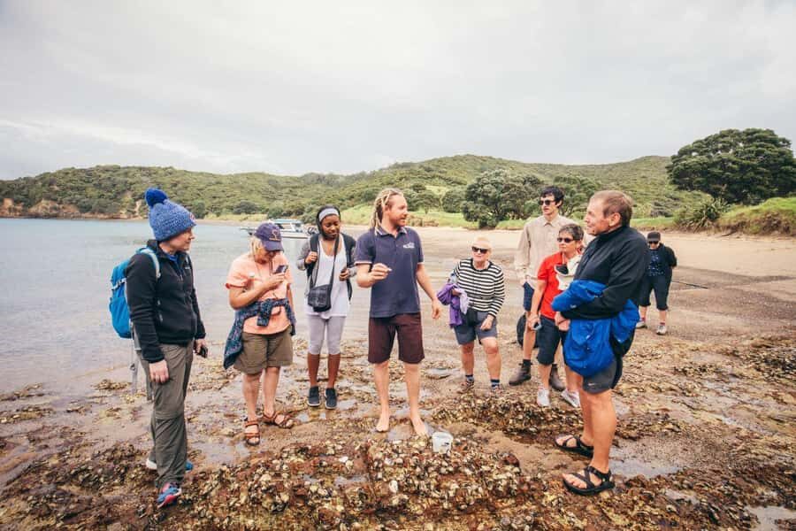 Bay of Islands Journey: Sail, Snorkel & Explore in 5 Days - Transportation, Group Size, and Value