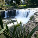 Bay of Islands - Mini Tour: (75-90mins) - Introduction: A Short but Sweet Overview