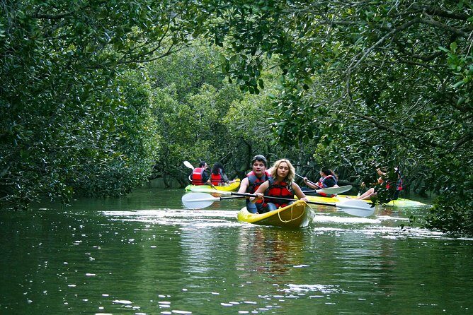 Bay of islands Waterfall Cruise Kayaking Tour - Frequently Asked Questions