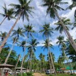 Beach hopping in Puerto Princesa City - The Itinerary Breakdown: What to Expect