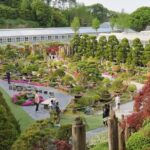 Beartree Park with Admission Ticket to Arboretum in Sejong - What Can You Expect During the Visit?