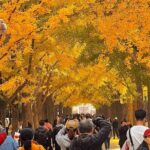 Beijing 3 Day Private Tour All Inclusive and 1 Peking Duck Meal - Final Thoughts