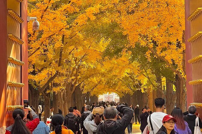 Beijing 3 Day Private Tour All Inclusive and 1 Peking Duck Meal - Final Thoughts