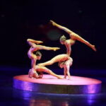 Beijing Afternoon Tour to Silk Market & Chaoyang Acrobatic Show - Authenticity and Value