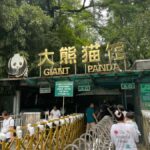 Beijing: Beijing Zoo Entry Ticket - Who Will Enjoy This Experience?