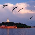 Beijing Car rental & Dirver & Guide service - Who Should Consider This Service?