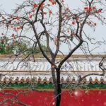 Beijing Forbidden City and Temple Heaven Private Guide Tour - Who Is This Tour Best For?