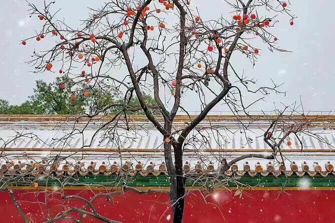 Beijing Forbidden City and Temple Heaven Private Guide Tour - Who Is This Tour Best For?