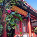 Beijing Half Day Tour: 798 Art Zone, Houhai Lake and Hutong with Rickshaw Ride - The Sum Up