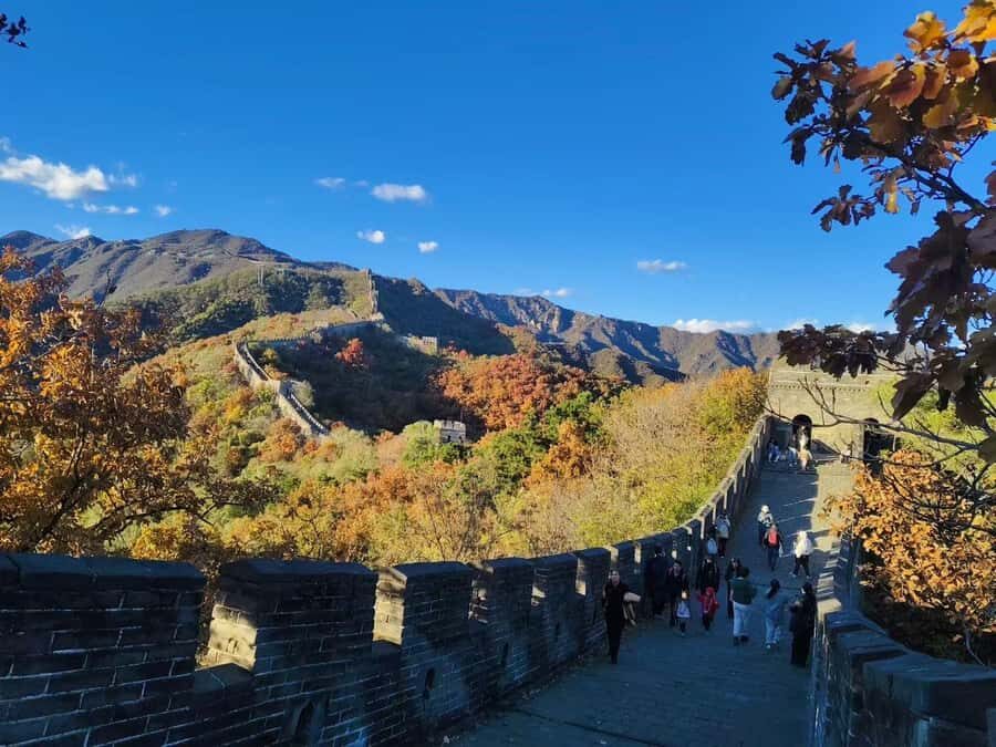 Beijing: Mutianyu Great Wall +Temple of Heaven + Dumplings - Why This Tour Offers Great Value