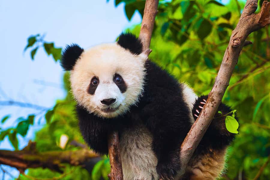 Beijing: Summer Palace Guided Tours & Top Park Combos - What To Expect From the Itinerary