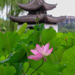 Beijing: Taoranting Park Entry Ticket - Exploring the Highlights