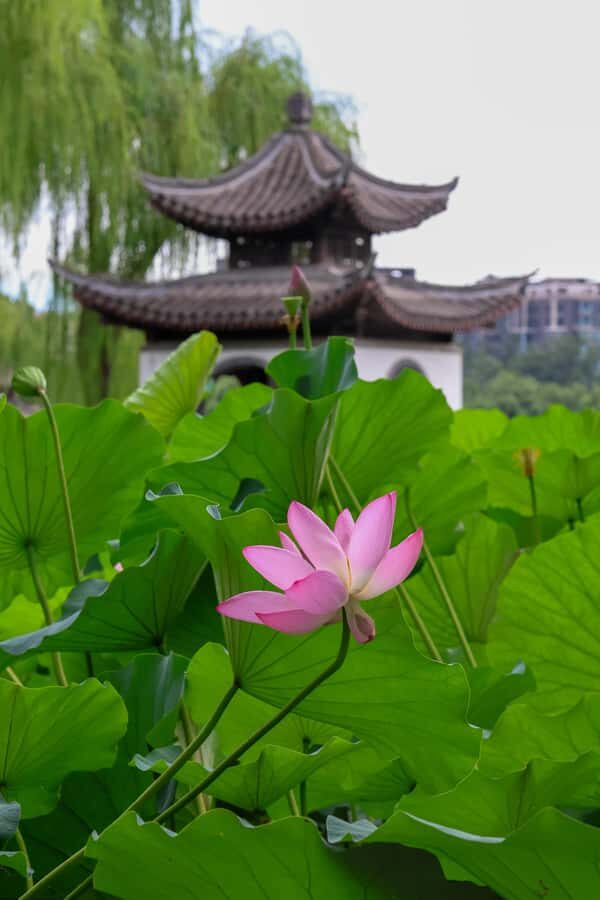 Beijing: Taoranting Park Entry Ticket - Exploring the Highlights