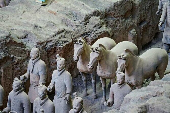 Beijing to Xi'an Terracotta Warriors Day Trip with Bullet Train - Transportation and Guided Experience