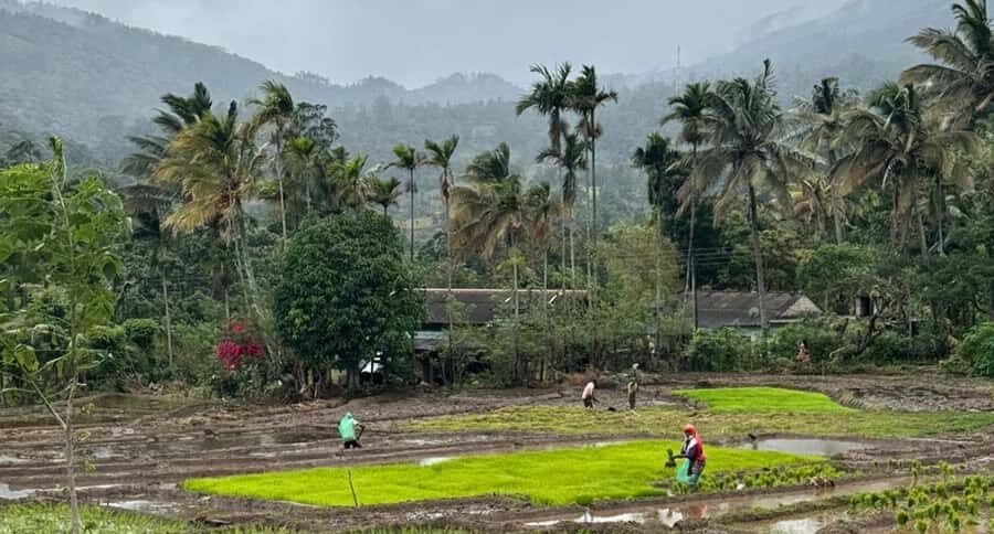 Belihuloya: Ihala Galagama Village Trail Guided Hike - Who Should Consider This Tour?