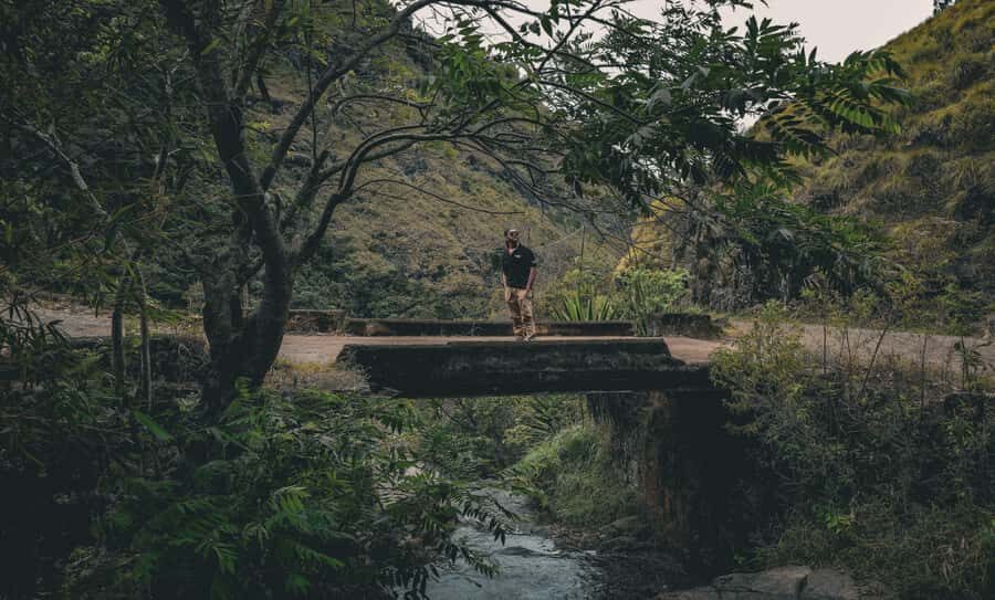 Belihuloya: Lower Worlds End Village Trail & Tuk-Tuk Ride - A Detailed Look at the Lower Worlds End Village Trail & Tuk-Tuk Ride