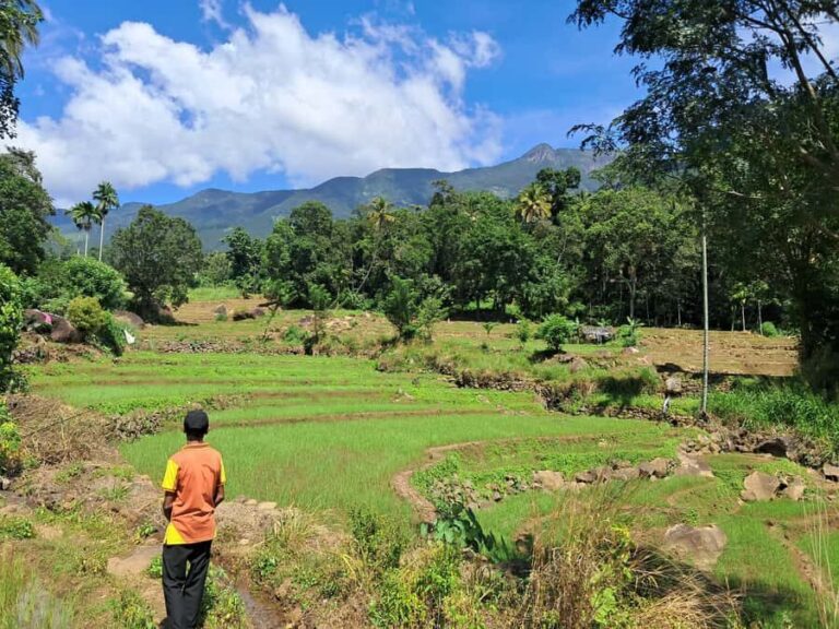 Belihuloya Village Tour with Lunch - Who Should Consider This Tour?