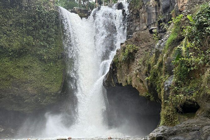 Benoa Port - Cruise Ship Shore Excursion - Private Guided Tour - What Reviewers Say