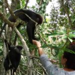 Bentota: Ayurveda Day Treatment & Mangrove River Boat Safari - The Practicalities: What to Know