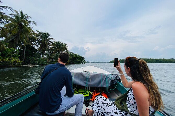 Bentota River Safari: Crocodiles, Monkeys, Birds, Mangrove Forest - Why Travelers Love the Bentota River Safari
