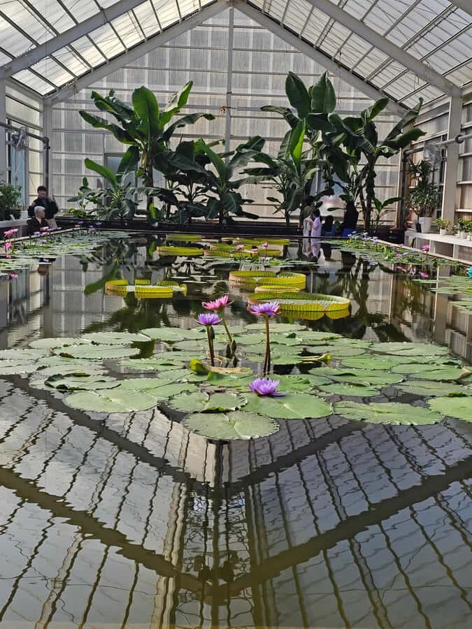 Beppu: Express Hells TourTop 3 Jigoku Highlights - Deep Dive into the Itinerary