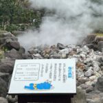 Beppu: Half-Day Beppu Jigoku Tour with Licensed Guide - Why This Tour Is Worth Considering