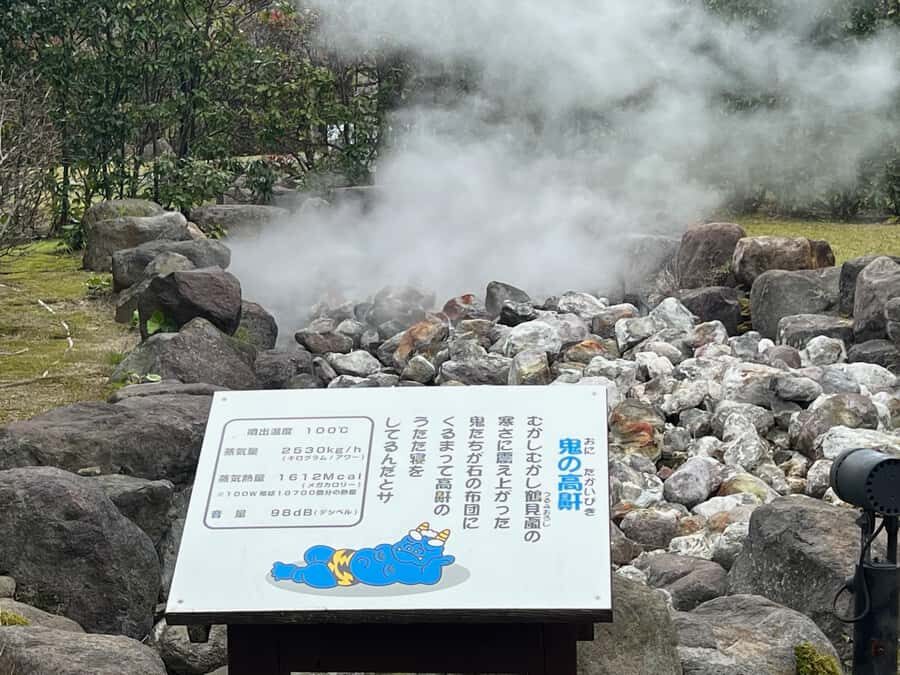 Beppu: Half-Day Beppu Jigoku Tour with Licensed Guide - Why This Tour Is Worth Considering