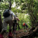 Beppu: Himeshima Island Eco-Cart Tour with Onsen - Who Should Consider This Tour?