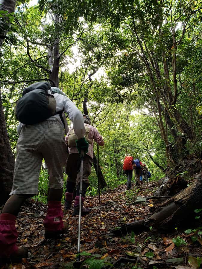 Beppu: Himeshima Island Eco-Cart Tour with Onsen - Who Should Consider This Tour?
