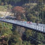 Beppu: Private Shore Excursion Beppu Hells & Sky Bridge - Discovering Beppu’s Famous Hells (Jigoku Meguri)