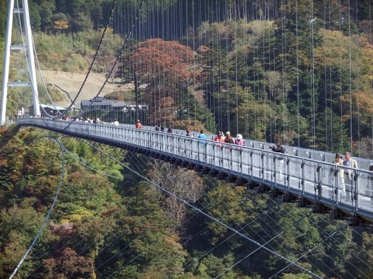 Beppu: Private Shore Excursion Beppu Hells & Sky Bridge - Discovering Beppu’s Famous Hells (Jigoku Meguri)