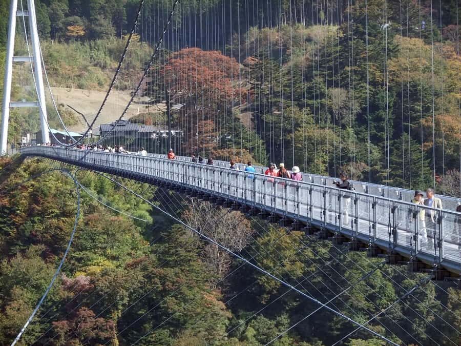 Beppu: Private Shore Excursion Beppu Hells & Sky Bridge - Discovering Beppu’s Famous Hells (Jigoku Meguri)