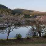 Beppu: Shidaka Lake Nordic Walking and Forest Bathing Tour - Exploring Beppu in a New Way: The Itinerary Breakdown