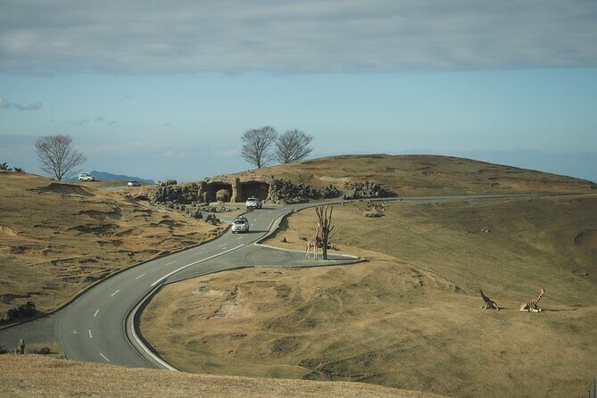 Beppus Best: African Safari and Beppu Hells Private Tour - Practical Details & Tips