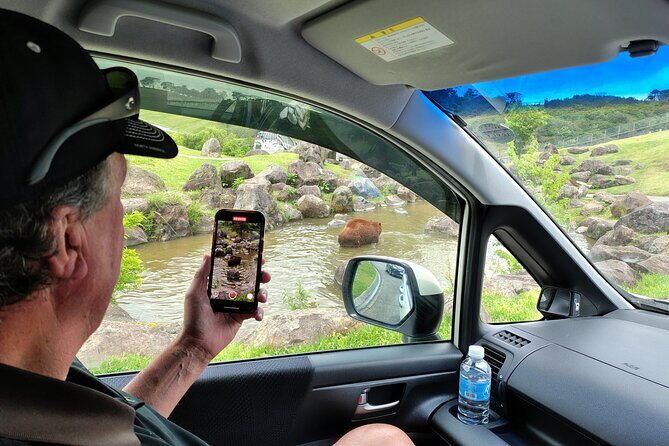 Beppus Best: African Safari and Beppu Hells Private Tour - Who Is This Tour Best For?