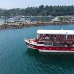 Bespoke Whale Watching Cruise to witness finned giants  Mirissa - What Do Travelers Say?