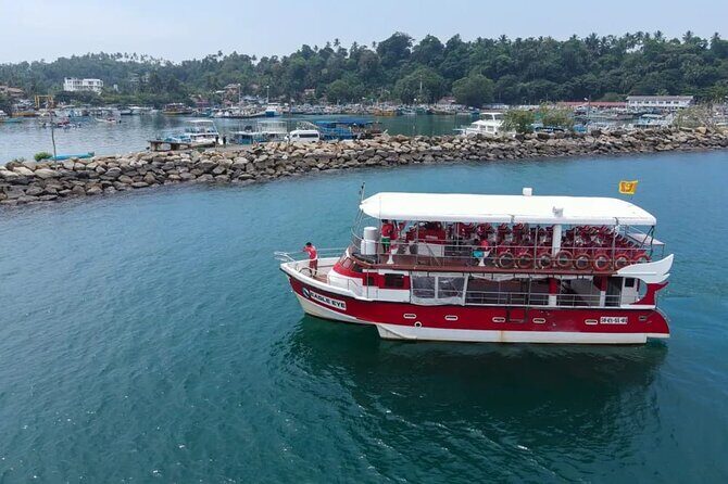 Bespoke Whale Watching Cruise to witness finned giants  Mirissa - What Do Travelers Say?